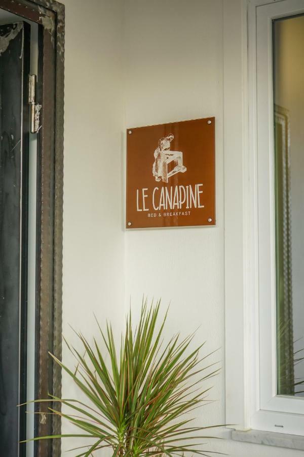 B&B Le Canapine ฟรัตตามัจจอเร ภายนอก รูปภาพ